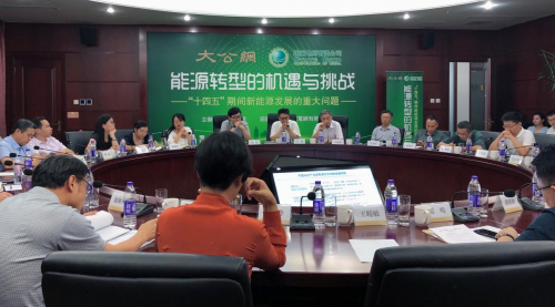 “十四五”时期电网优化与可再生能源发展论坛在京举办