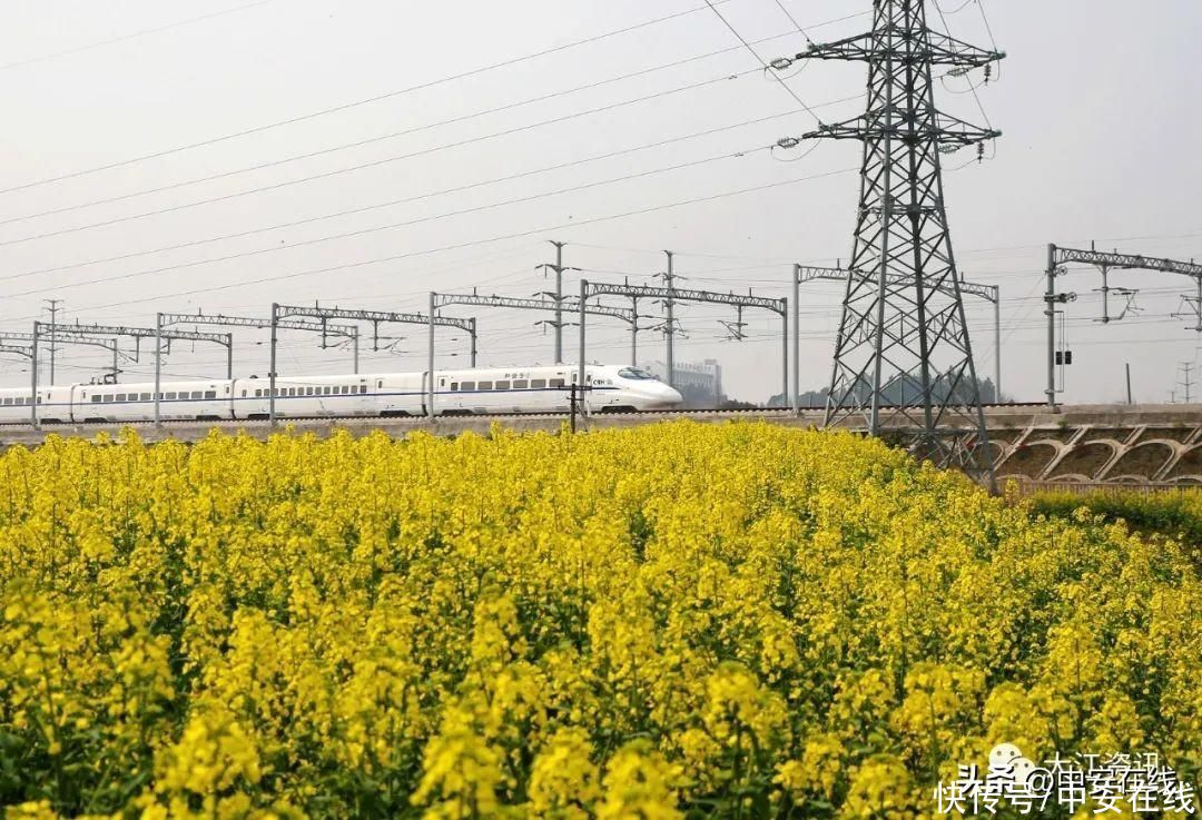 直达上海!芜湖今年再增一条高铁通道 直达上海!芜湖今年再增一条高铁通道(图5)